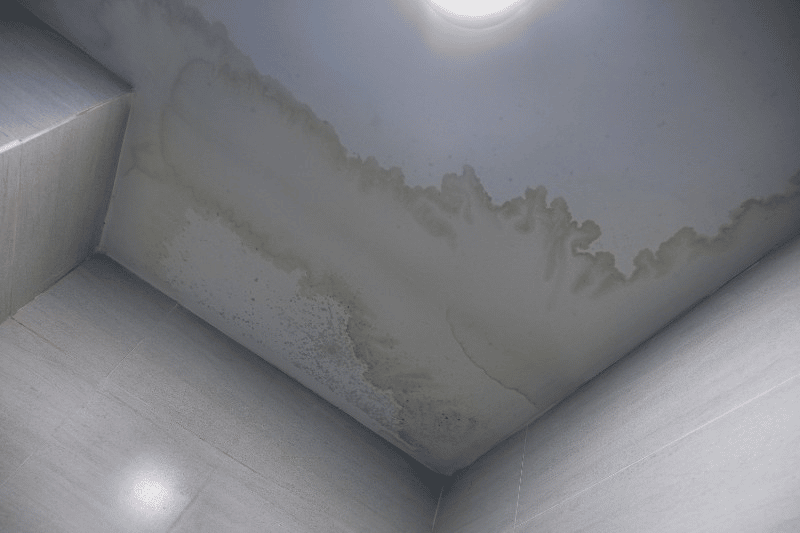 How much does damp proofing cost?